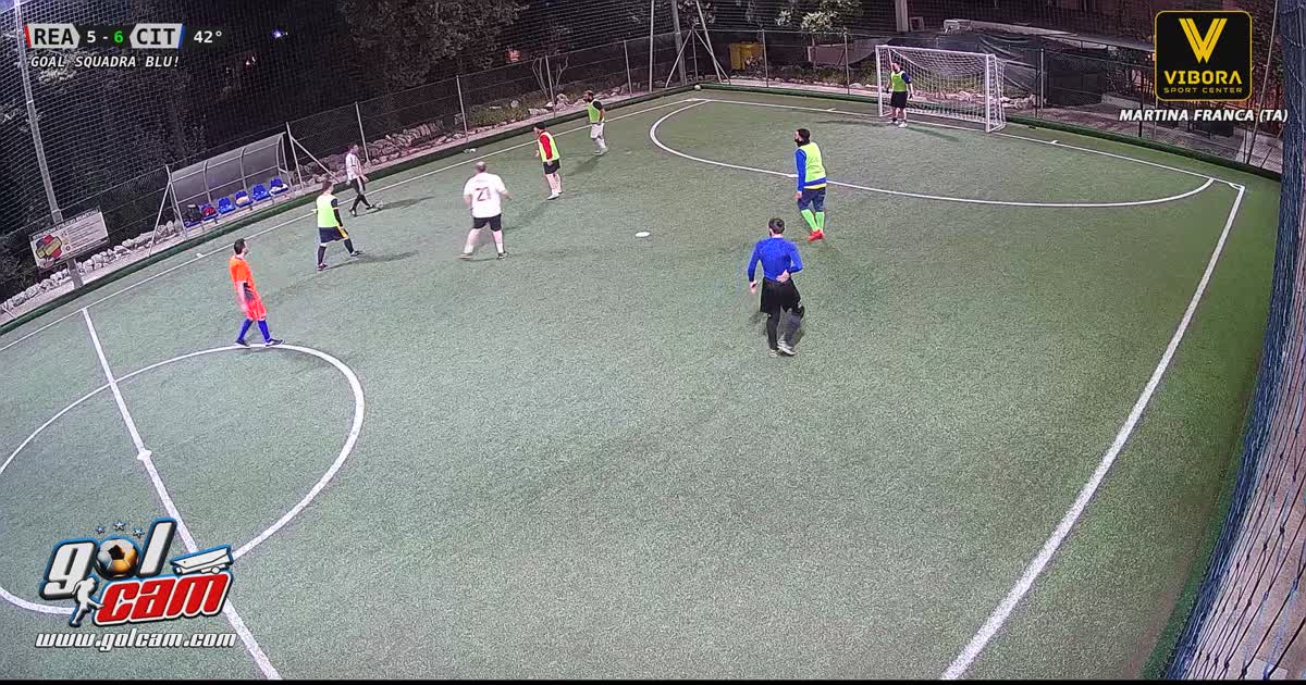 Goal 4