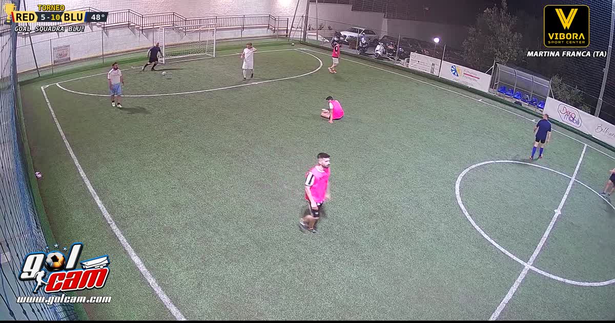 Goal 17