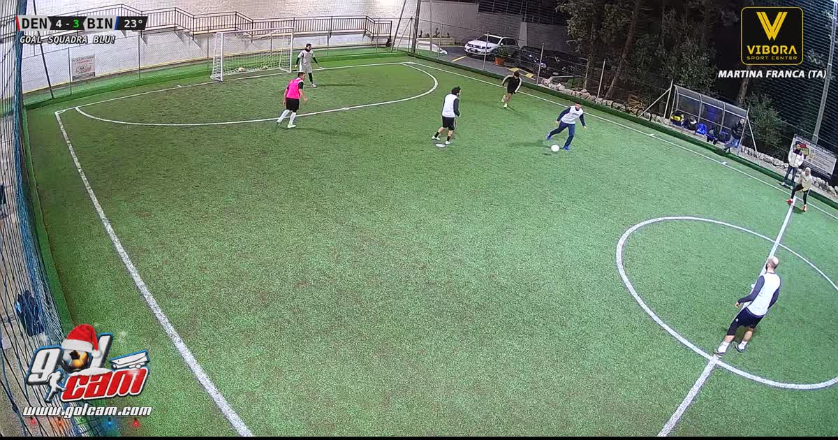 Goal 7