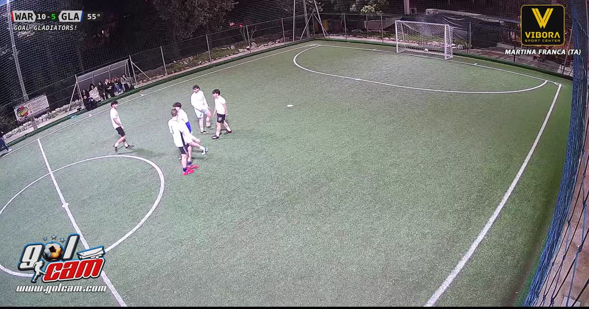 Tiro al volo