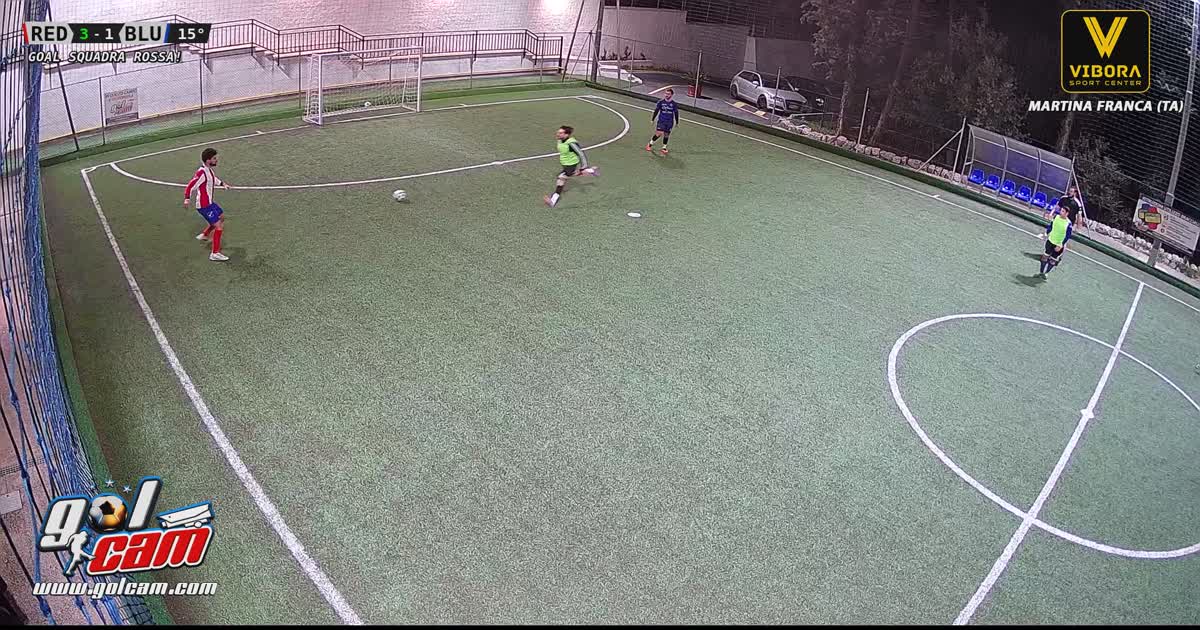 Goal 1