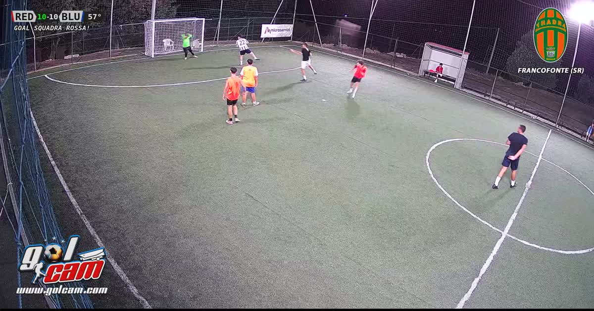 Partitamaceo